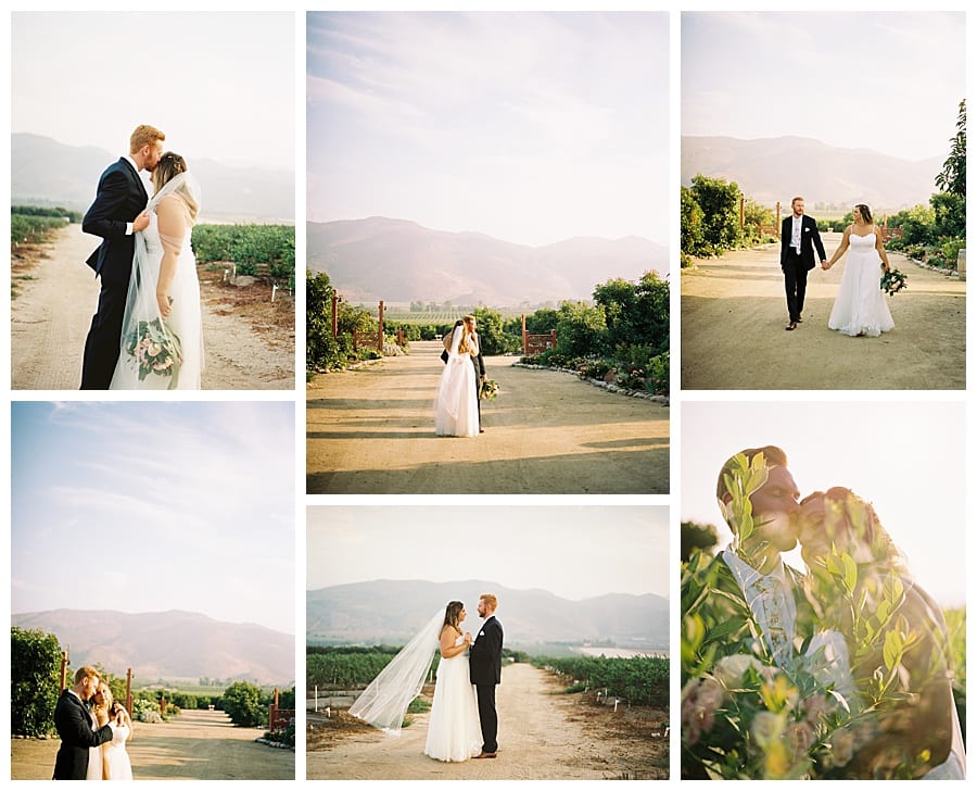 Couple portraits in the vineyard at Gerry Ranch near Los Angeles, by destination wedding photographer J.J. Au'Clair