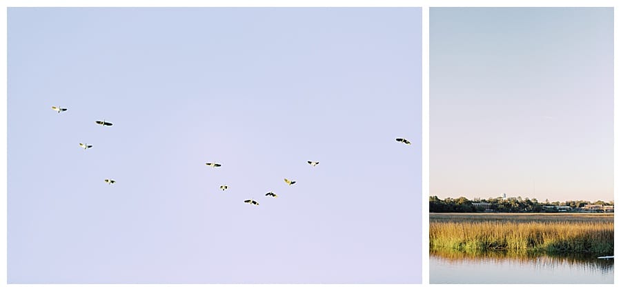 Savannah coastal waters, birds flying, by J.J. Au'Clair.