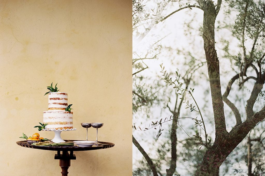 Sunstone colored walls with citrusy wedding cake and olive groves in Santa Barbara elopement venue Villa.